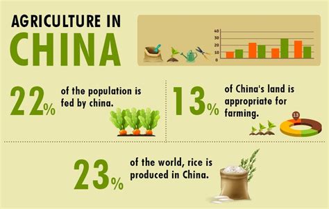 What Is China Most Important Farm Animal